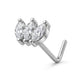 Argent